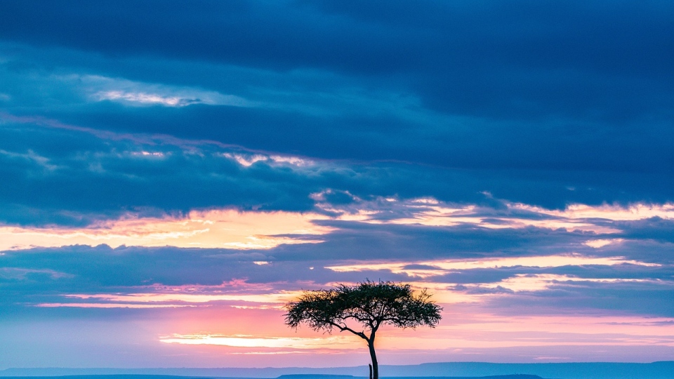 QBS acquires big footprint African distributor