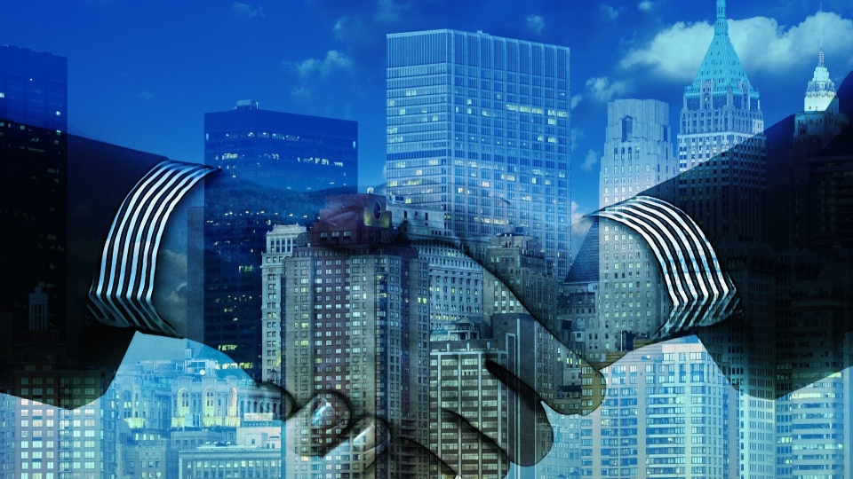 Bip transformation services arm names new head