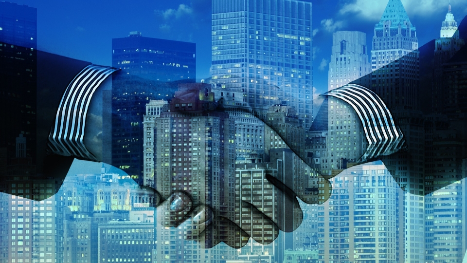 Bridgepointe appoints Sterl as operations chief