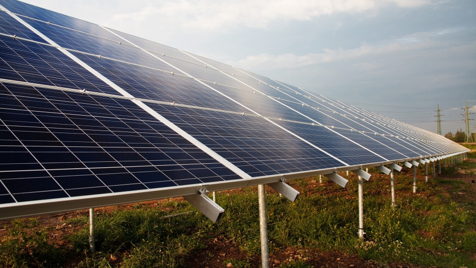 IFS partners with PwC to develop sustainability service
